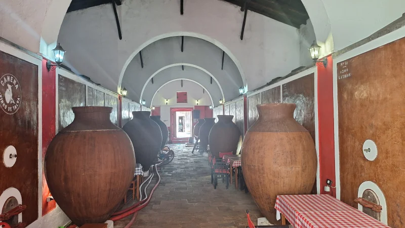 Wine Tours