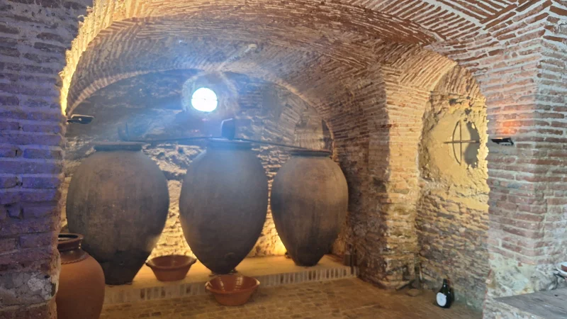 Hotel & Wine Tour – Alcácer do Sal Alentejo image 5