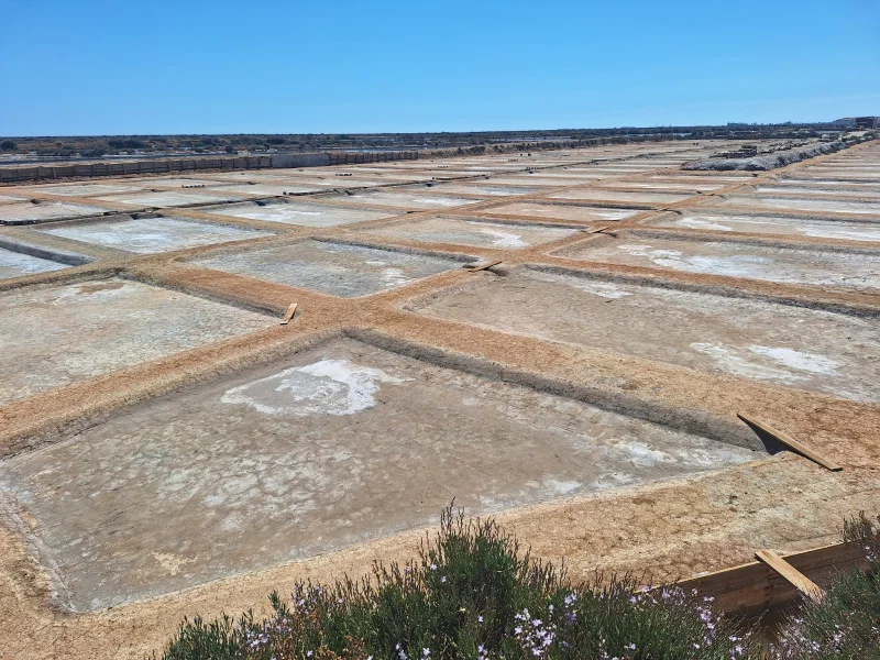 Salt Route – Olhão & Tavira image 2