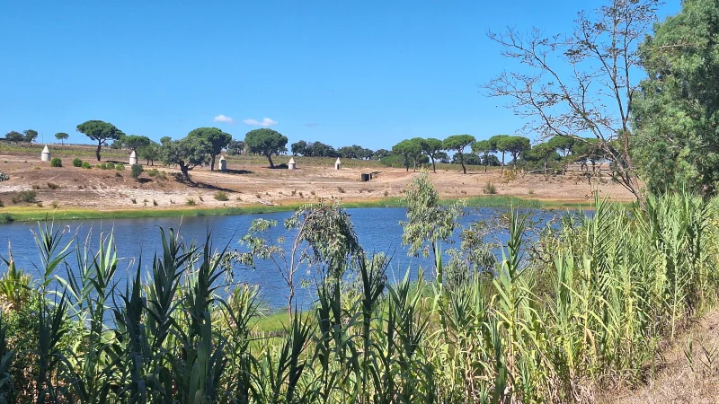 A Journey Through Portugal’s Heart