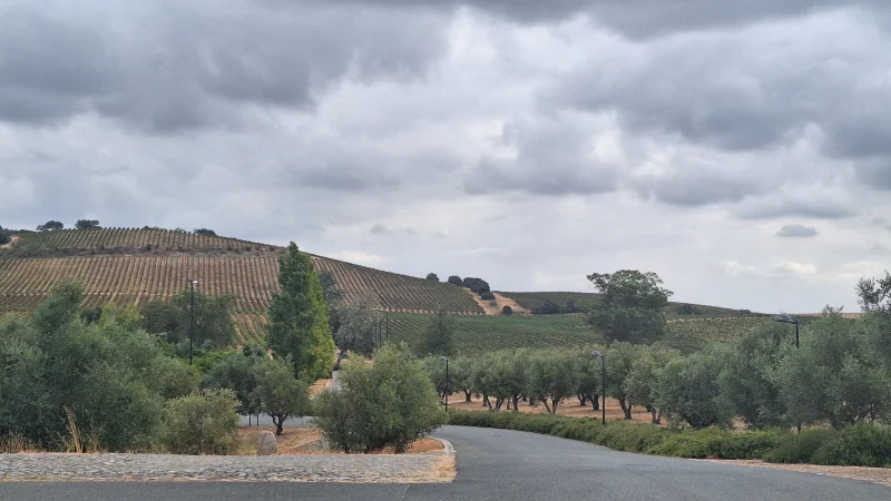 A Journey Through Portugal’s Heart image 5