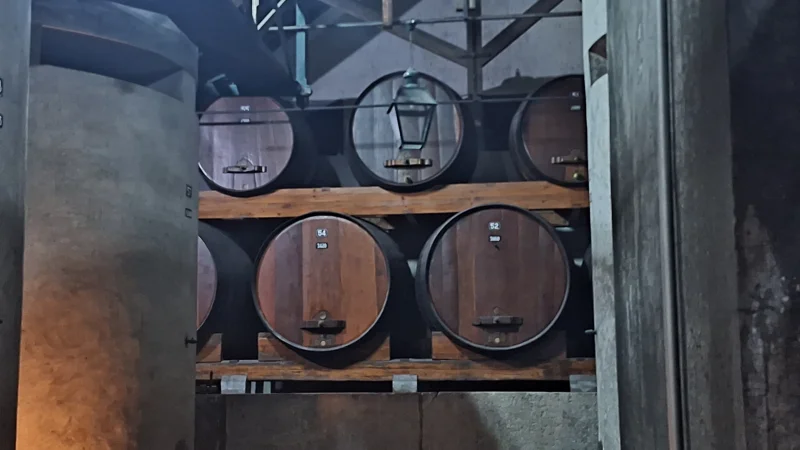 Airport Transfer & Wine Tour ( Flexible Extension )  image 4