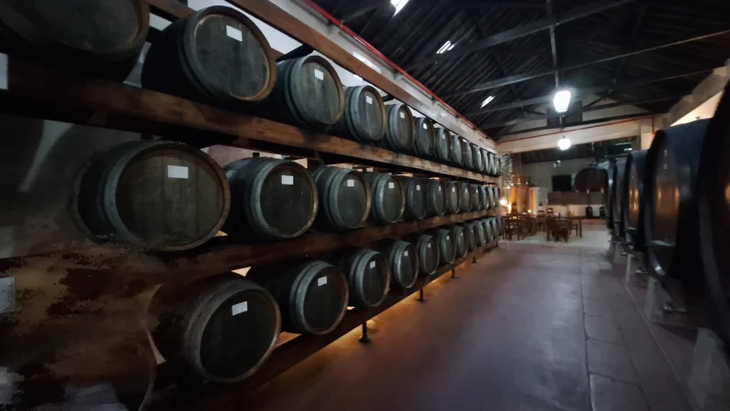 Airport Transfer & Wine Tour ( Flexible Extension )  image 5