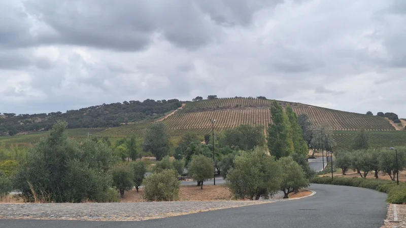 From Albufeira to Evora / Unesco to the Soul of Alentejo