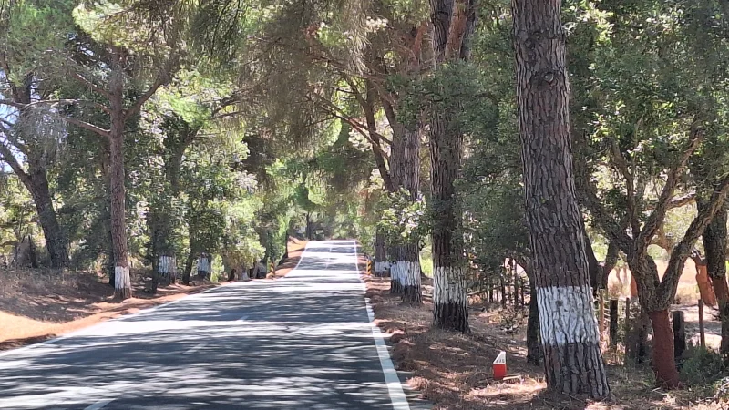 From Albufeira to Evora / Unesco to the Soul of Alentejo image 5